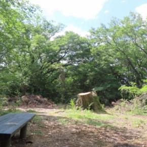 「広場にすることは無い」そうですが