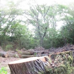 「安全優先」の平行線