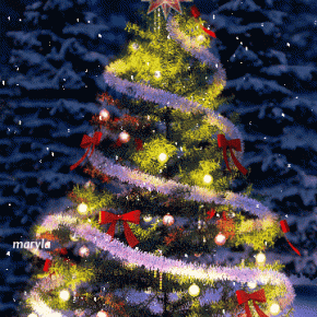 今日はクリスマスです！(^_^)v（今日はクリスマス）