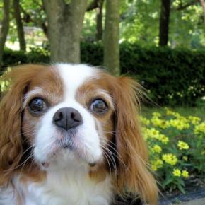 梅雨入り前にドライブ