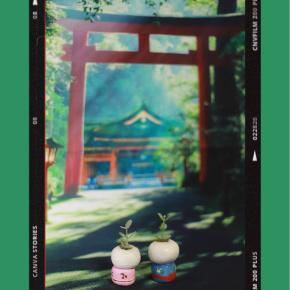 あけましておめでとうございます。