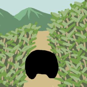 【誇張無し】クマと遭遇した時の話