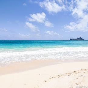 2024年ハワイ旅行記⑦ ～ オアフ島東部おすすめスポット