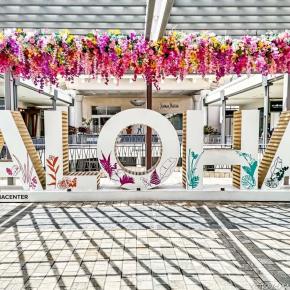 2024年ハワイ旅行記⑨ ～ ワイキキでランチ&ショッピング