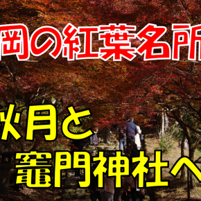 《旅日記》【写真館646】赤く色づく紅葉の名所へ！秋月・竈門神社の紅葉まつり