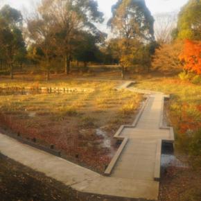 イロイロあった1週間と堕落した週末