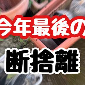 今年最後の断捨離