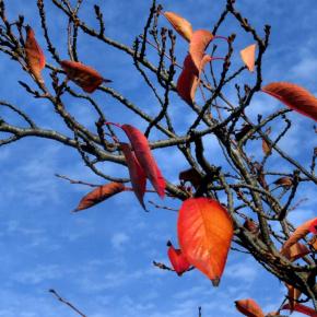 80歳は通過点、健康長寿を目指す散歩と自転車。ストレッチ＆ウォーキング。