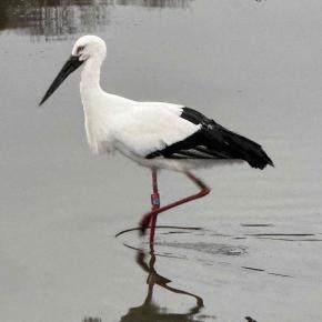 2025年12月21日 今日はしらさぎ多肉愛仙会の例会日