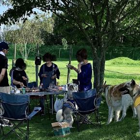 ドッグランいこいでバーベキュー