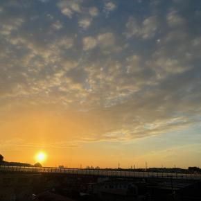 【桐一葉】のことなど