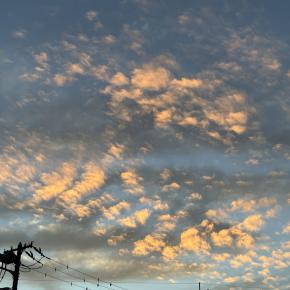 【冬支度】のことなど