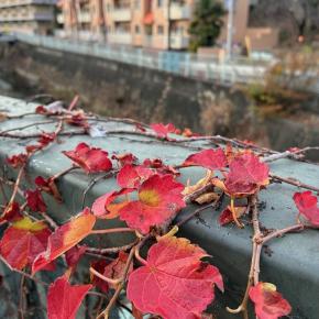 【暦の果】のことなど