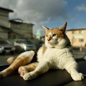 お出かけ前に（動画）