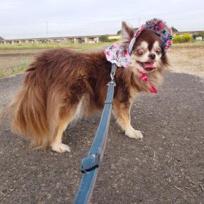 じゅりちゃん、お帽子似合ってる？