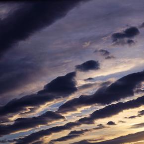 一陽来復の日を祝う ── 新・残夏日記 令和七年十二月二十二日（月）