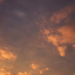 ハーイ、今宵はちょいとハイな気分なので何とかハイの話を書いてみる ── 新・残夏日記 令和七年十二月二十九日（月）