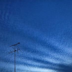 いちばん恥ずかしかったこと？ ── 続・残暑日記 令和七年九月十六日（火）