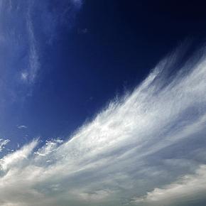 「冬の予感」というか「既に冬」というか ── 残夏日記 令和七年十一月十三日（木）