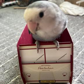 整形外科と小児神経内科の受診