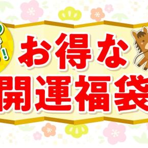 【午年にぴったり！】金運がうまくいく縁起物が九星で選べる福袋