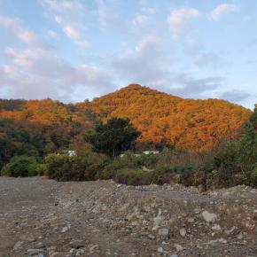 北田原ます釣場 その2
