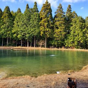 納竿はガリバーフィッシングガーデンへ