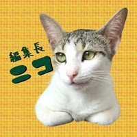 【ベントタ】バワが経営していたホテル