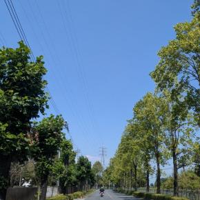洗バイクからの〜ランチ❗