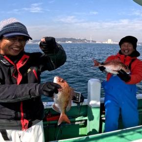 プレ乗っ込み突入！ 鯛、始まってますよ～。