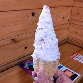 ライダーズノルマの聖地？『道の駅もてぎ』(茂木)