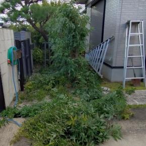 酒なんかいつでも止めれる