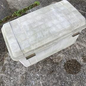 みみずコンポスト4