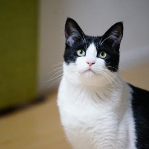 UR賃貸マンション暮らしへの一歩は、手を挙げたもの勝ち 