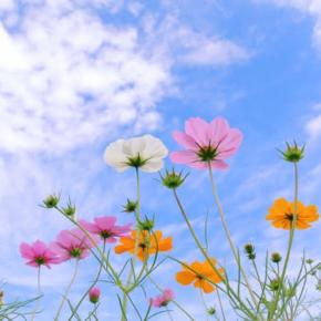 家の売却にも物件探しにも必要だったモノ