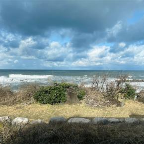 60歳にして知る新潟の事実