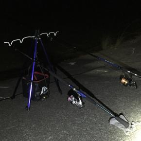 2022年7月ウナギ釣り。海に近ければ近いほどアケミ貝が有利か！？