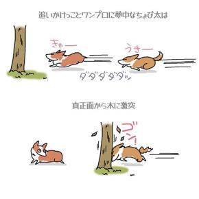顔面で衝突・12月12日のちょび太／【犬マンガ】
