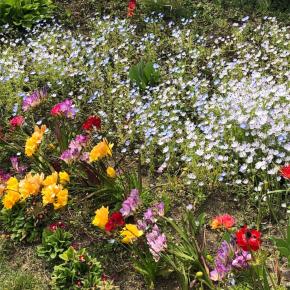 久しぶりの記事更新〜6個のトラウマとそれを構成する35個の要素〜