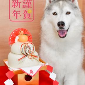 謹賀新年！2026年元気にスタートですp(^_^)q