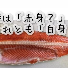 鮭は「赤身？」それとも「白身？」