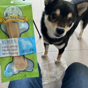 ヒマラヤチーズをあげるタイミングの難しさ。