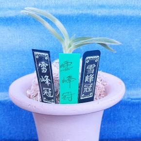 ❣❣新参者【雪峰冠】～～運動会～～❣❣