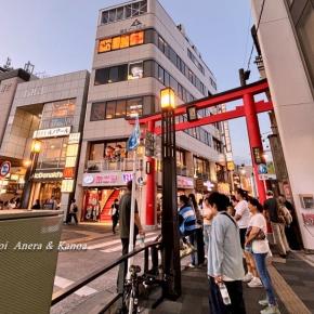 夕暮れの鎌倉中心部