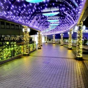 自分にとっては中華の「てっぱん」です。