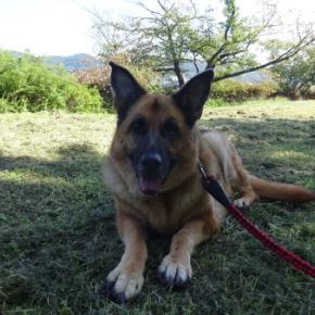 私はすねた＞＞