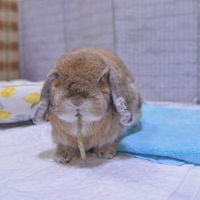 「たーちゃん ご飯を残す」のその後