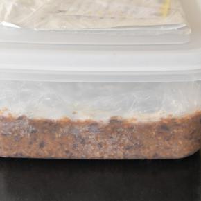 菌活とすっぱい思い出