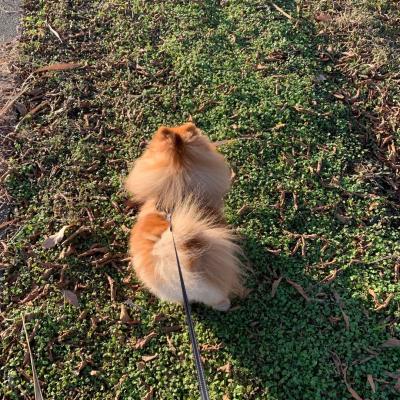 チャッピー vs 賢人（笑）