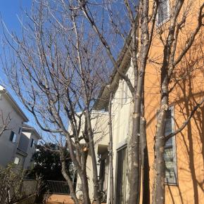 思っても見なかった「火事の元」